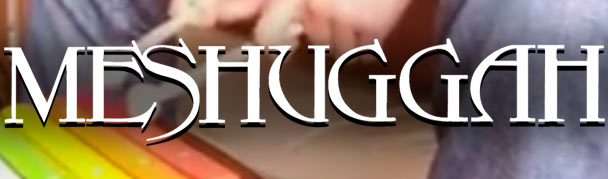 Meshuggah6