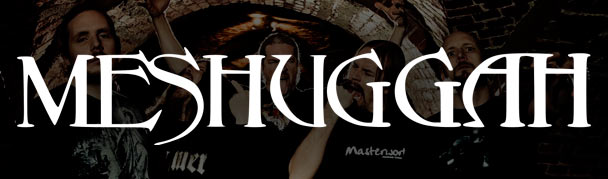 Meshuggah10