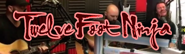 twelvefootninja5