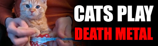catsplaydeathmetal